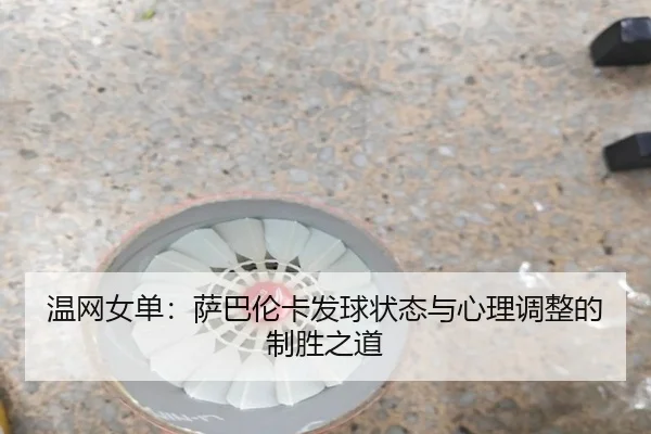 wen-wang-nv-dan-sa-ba-lun-ka-fa-qiu-zhuang-tai-yu-xin-li-tiao-zheng-de-zhi-sheng-zhi-dao-2-385.jpg
