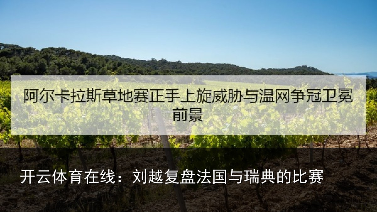 开云体育在线:刘越复盘法国与瑞典的比赛