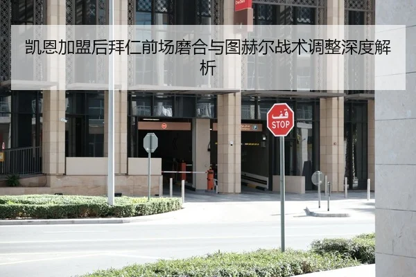 凯恩加盟后拜仁前场磨合与图赫尔战术调整深度解析
